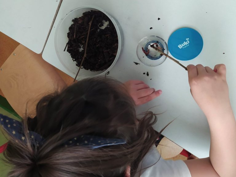 Enfants qui observe les lombrics