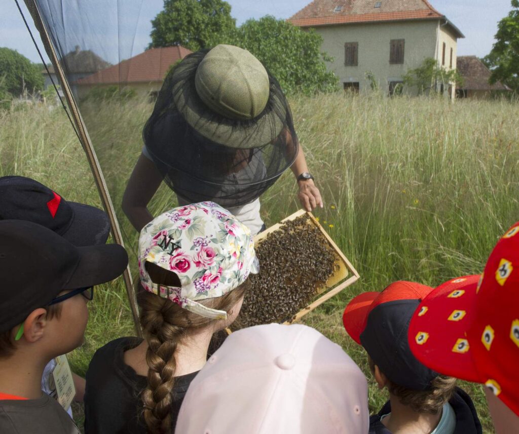 Présentation de cadres de ruche. Enfants protégés sous une tente moustiquaire.