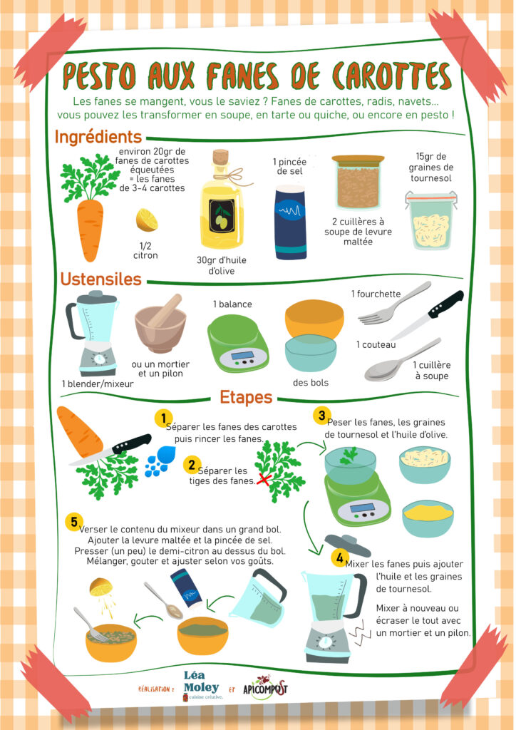 Fiche recette pour réaliser un pesto aux fanes de carottes