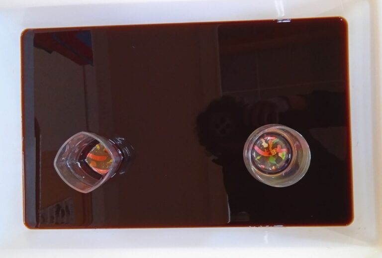 Bac de découverte des lombrics