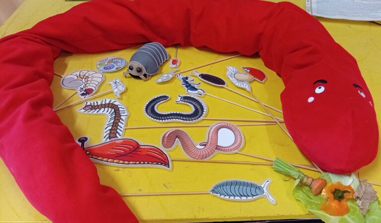 Outils pédagogique micro et macro faune du sol