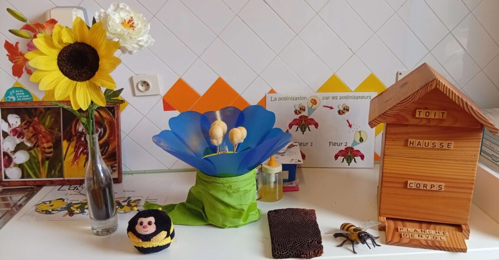 Abeille, bourdon et pollinisation