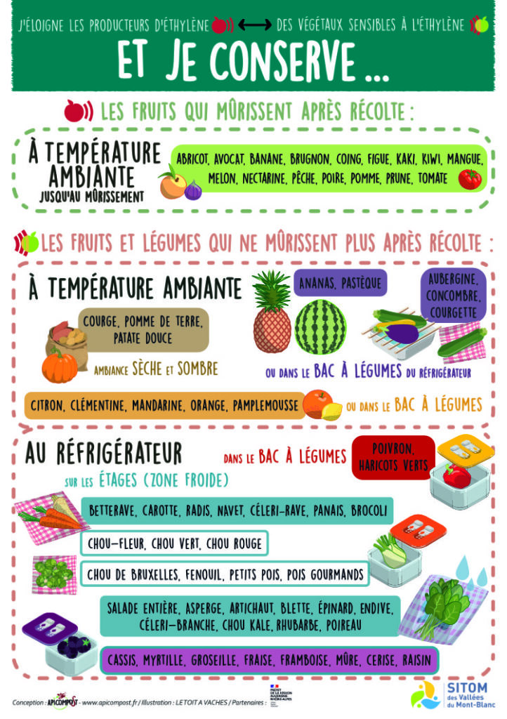 Flyer recto mémo conservation des fruits et légumes frais